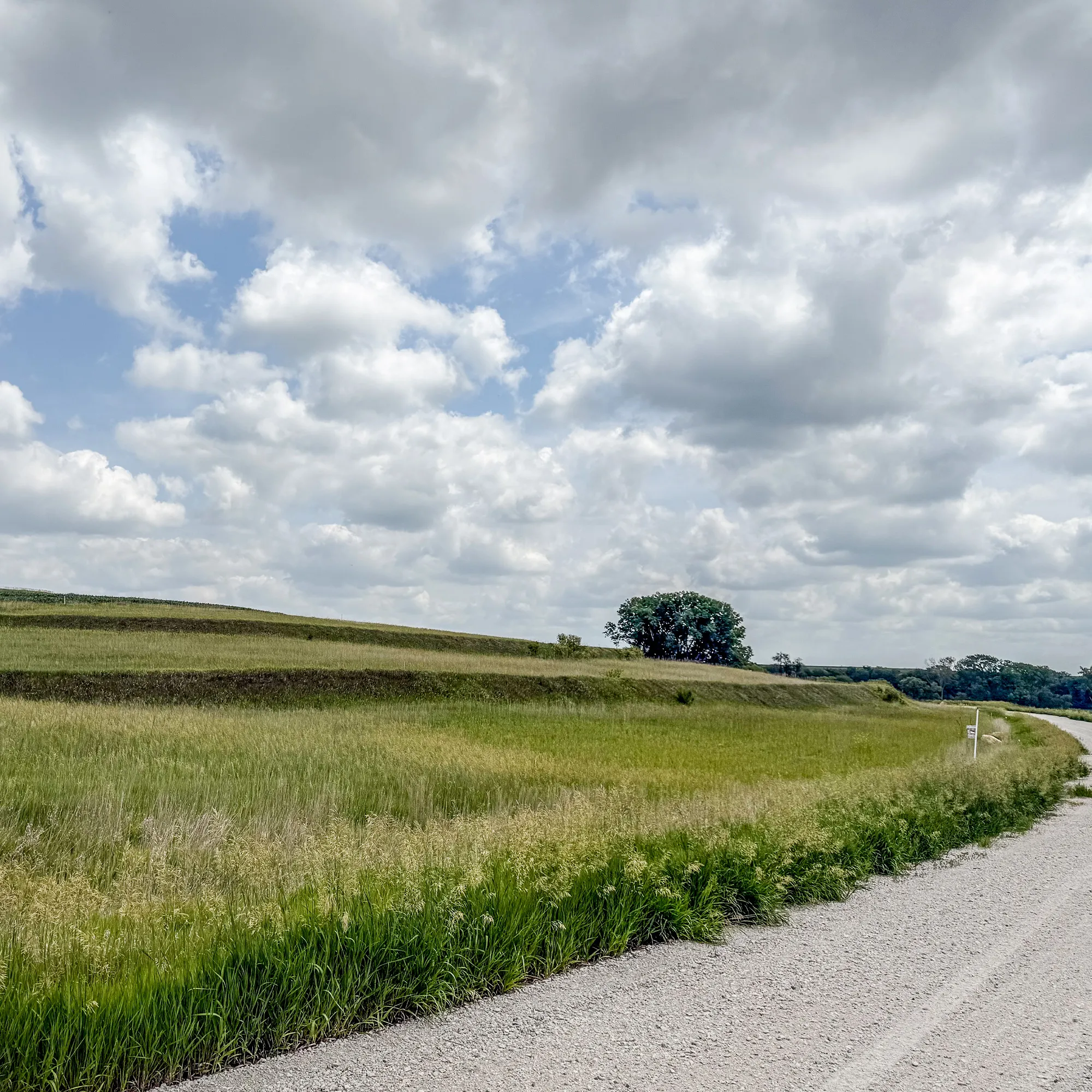 Gravel road winding through the Silver Springs property near Glenwood, Iowa
