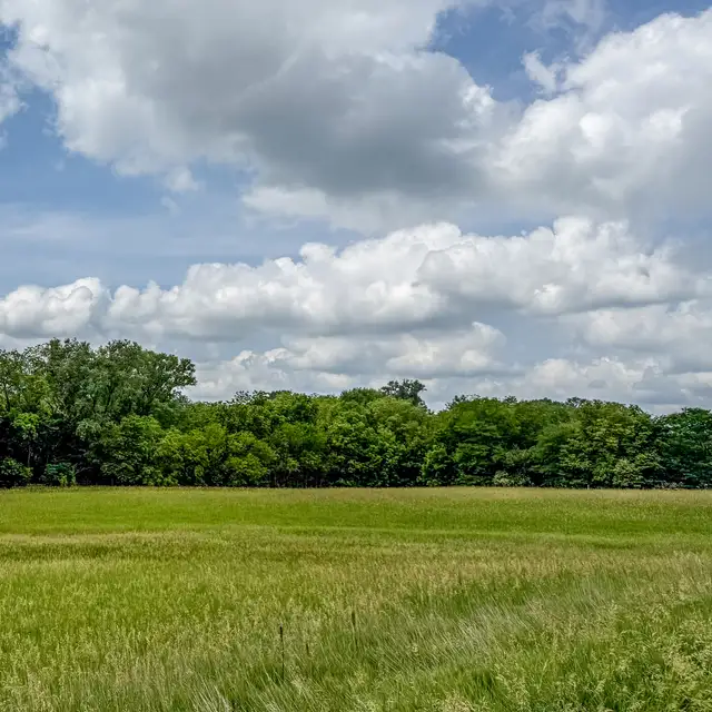 Aerial view of platted acreage lots at Silver Springs Subdivision