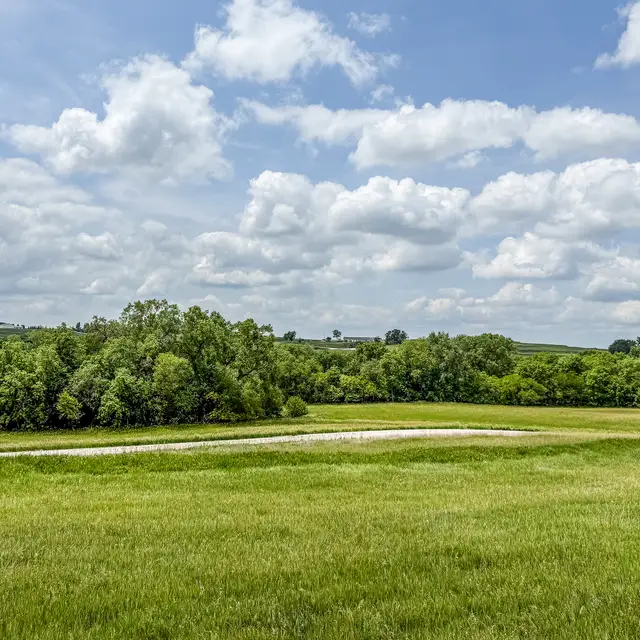 Green fields and tree line at Silver Springs acreage community