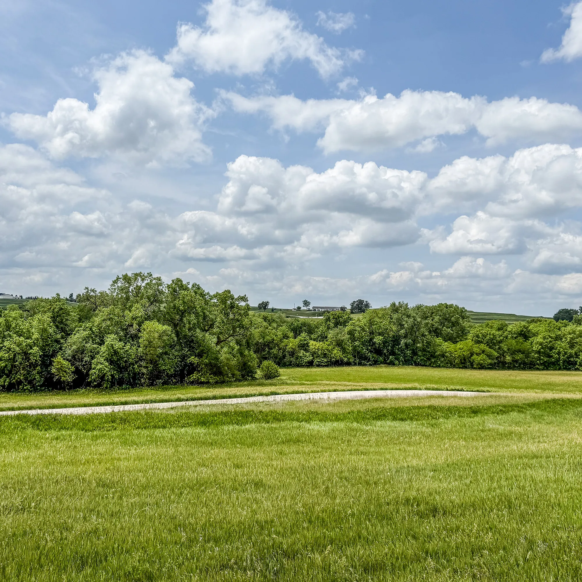 Green fields and tree line at Silver Springs acreage community