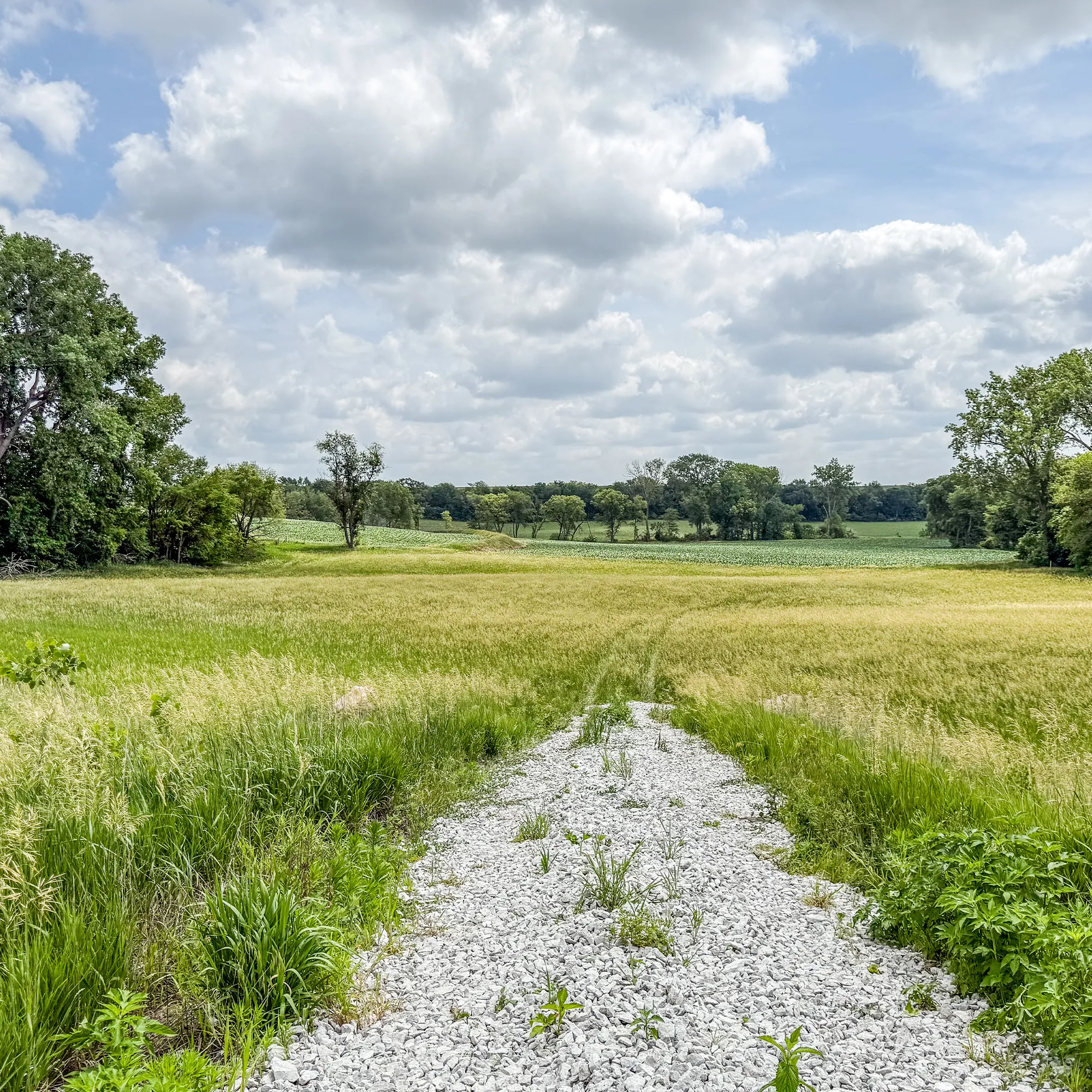 Gravel path leading into Silver Springs Subdivision with open fields and scattered trees