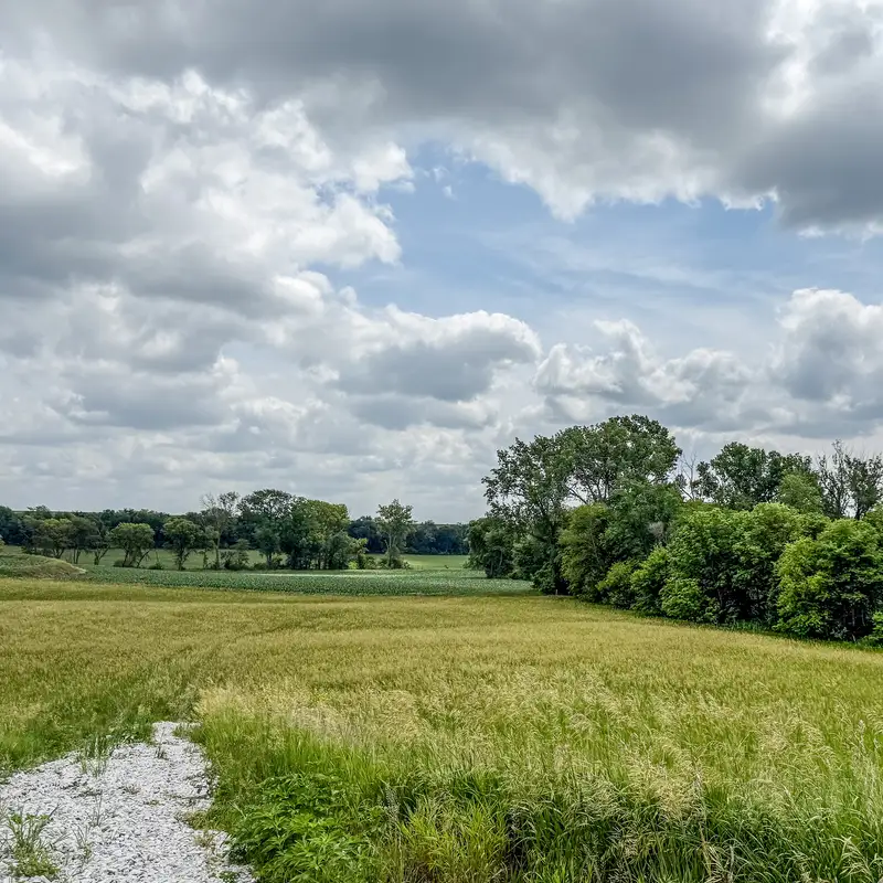 Open fields and distant tree line at Silver Springs Subdivision