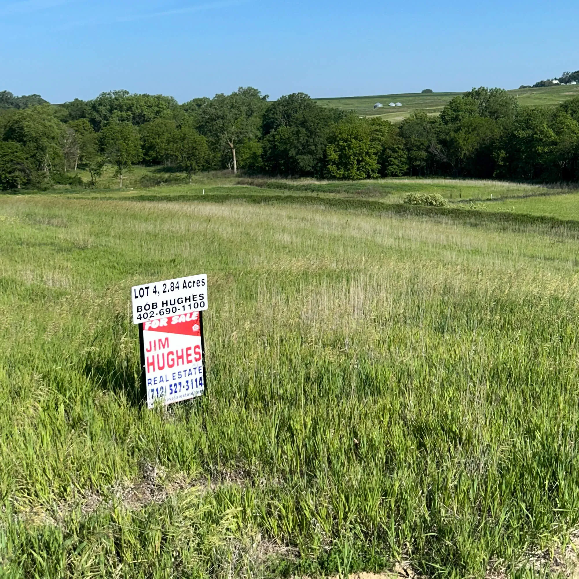 Sweeping green pasture and tree canopy at Silver Springs Subdivision